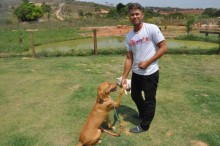 Itabirito ganha primeiros cães comunitários da cidade