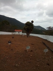 Cemitérios de Ouro Preto recebem limpeza para o Dia de Finados