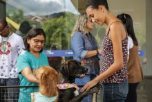 Mais um evento de adoção de cães comove corações em Mariana - Foto de Pedro Ferreira