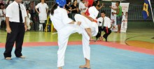 Além das apresentações de Karate, outras artes marciais como o Taekwondo foram destaque - Foto de Agnaldo Montesso