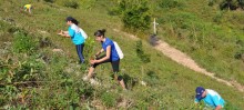 Ao final da caminhada os participantes deram grande contribuição ao meio ambiente plantando árvores