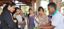 Especialista há 47 anos, Tarcísio Benjamim orientou os visitantes nos cuidados com a planta - Foto de Michelle Borges