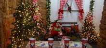 Natal de Luz: Casa do Papai Noel emociona visitantes em Mariana - Foto de Thainá Cunha