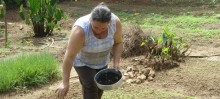 Agricultura familiar atende a 40 famílias em Mariana