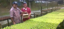 Viveirista, Wanderley de Carvalho, e horticultor domiciliar, Fernando Ferreira