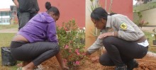 Espaço Cria é revitalizado pelos alunos do curso de Jardinagem do Pronatec - Foto de Filipe Barboza