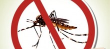 Prefeitura de Itabirito alerta sobre ações para combate a mosquitos e pernilongos