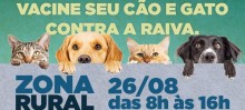 Campanha de vacinação antirrábica para cães e gatos começa dia 26 de agosto