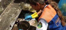 Agentes de saúde de Mariana alertam sobre cuidados para combater a dengue