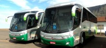 Turin Transportes adquire dois novos ônibus executivos para atender a Gerdau