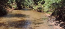 Após ações da Prefeitura, Gerdau anuncia medidas para melhorar qualidade da água no Rio Itabirito