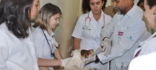Parceria entre Prefeitura de Itabirito e UFMG amplia atendimento a animais do Centro de Controle Animal