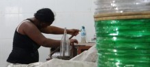 CAMAR produz cerdas para vassouras ecológicas - Foto de Rafael Melo