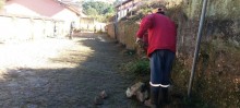 Prefeitura de Ouro Preto reforça limpeza e capina de ruas