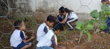 Alunos da Escola Mun. Juventina Drummond cuidam da horta na escola. - Foto de Marcelo Tholedo