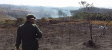 Homem provoca incêndio e desmata área de reflorestamento