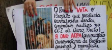 Projeto de Lei que proíbe a eutanásia em animais do canil de Ouro Preto é vetado e causa indignação na cidade